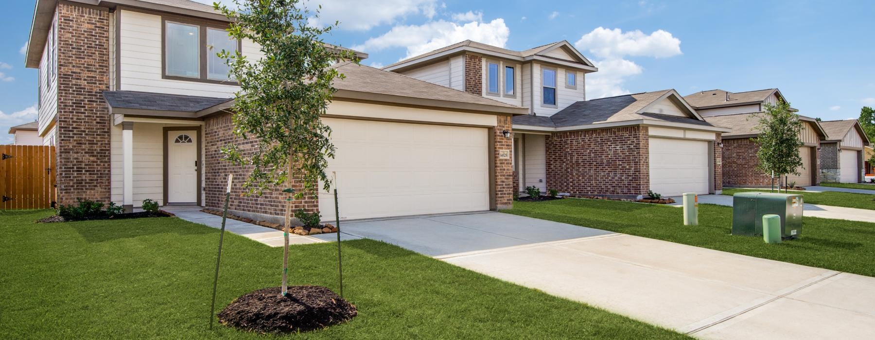 a house with a tree in the front yard